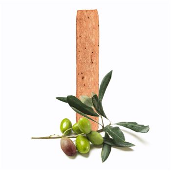 Olive Panisse